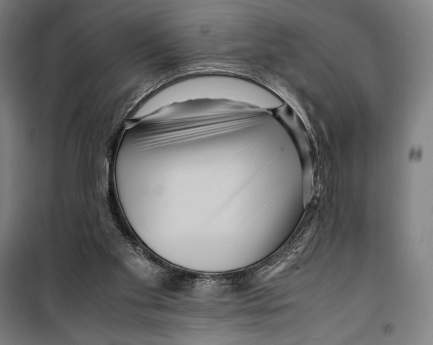 X0000099490109200806121401