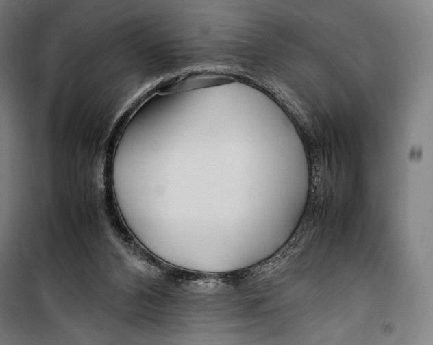 X0000099490112200806121401