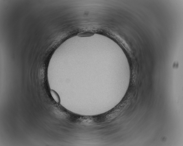 X0000099490113200806121401