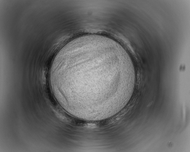 X0000099490114200806121401