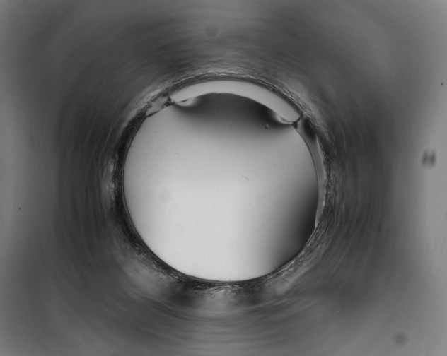 X0000099490116200806121401