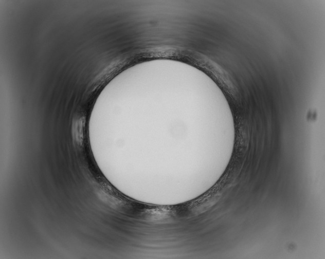 X0000099490118200806121401