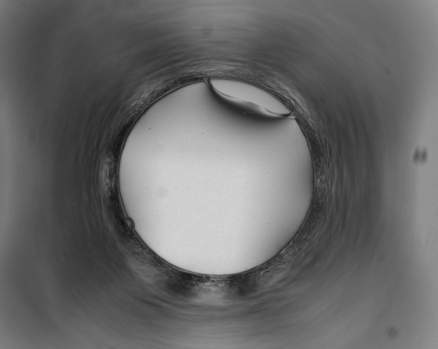 X0000099490119200806121401