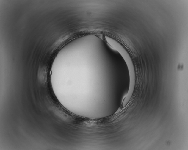 X0000099490120200806121401