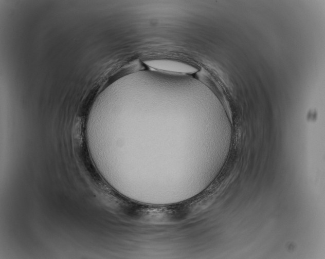 X0000099490121200806121401