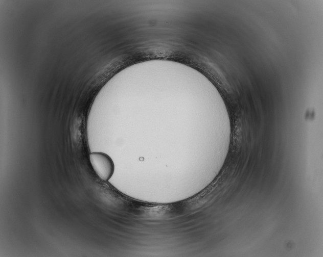 X0000099490122200806121401