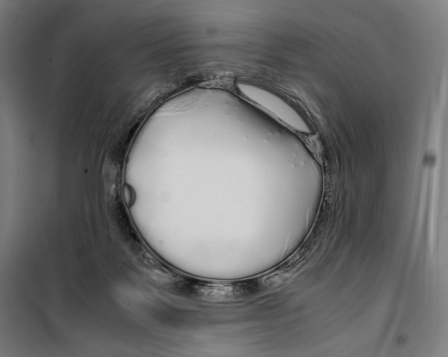 X0000099490123200806121401