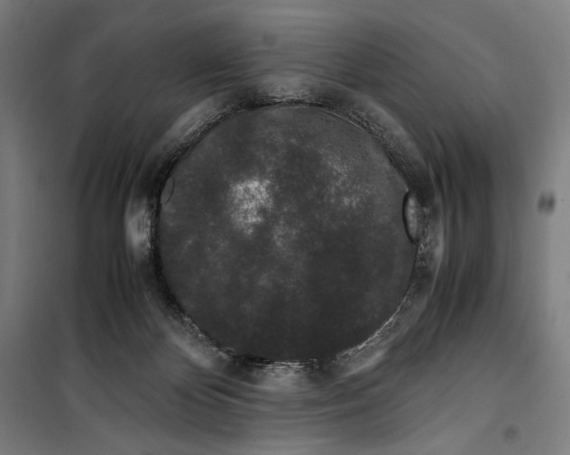 X0000099490124200806121401