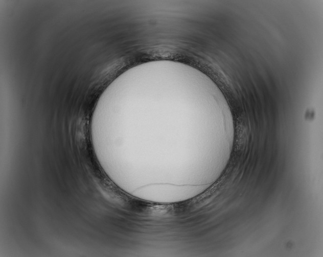 X0000099490126200806121401