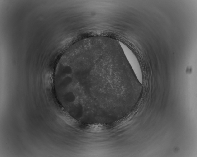 X0000099490127200806121401