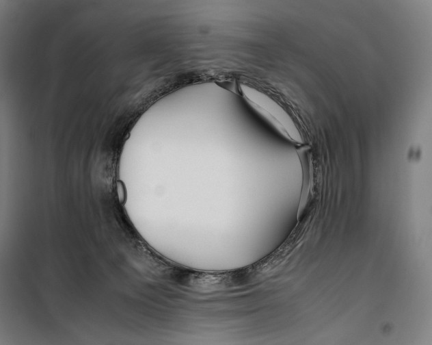 X0000099490129200806121401