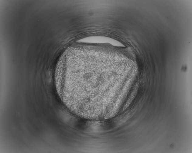 X0000099490131200806121401