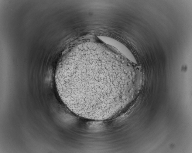 X0000099490132200806121401