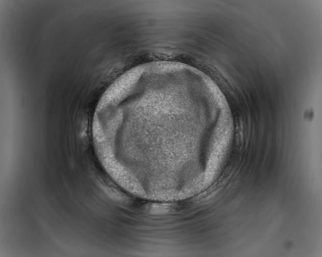 X0000099490134200806121401