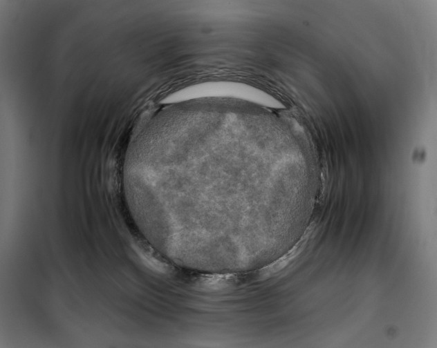 X0000099490136200806121401