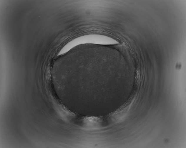 X0000099490137200806121401