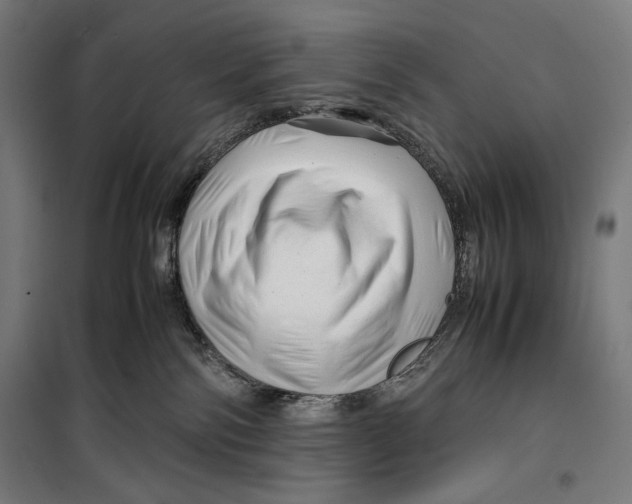 X0000099490138200806121401