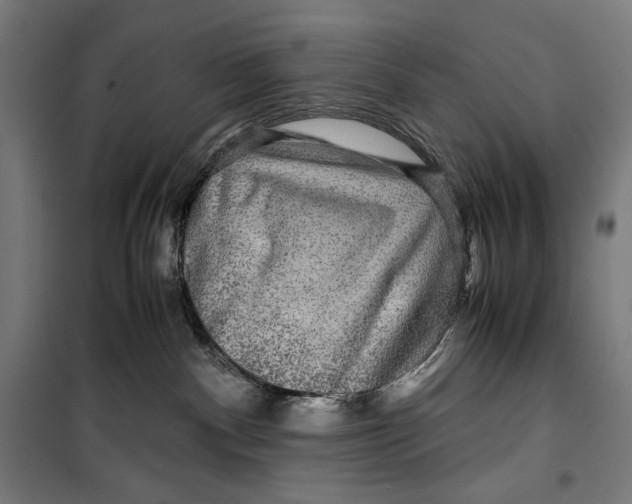 X0000099490140200806121401