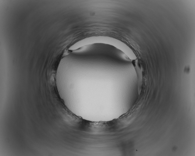 X0000099490141200806121401