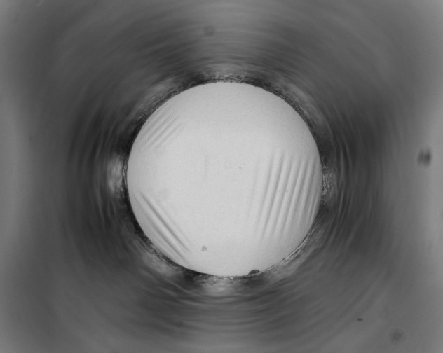 X0000099490142200806121401