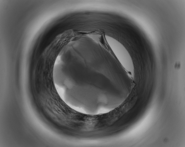 X0000099490143200806121401