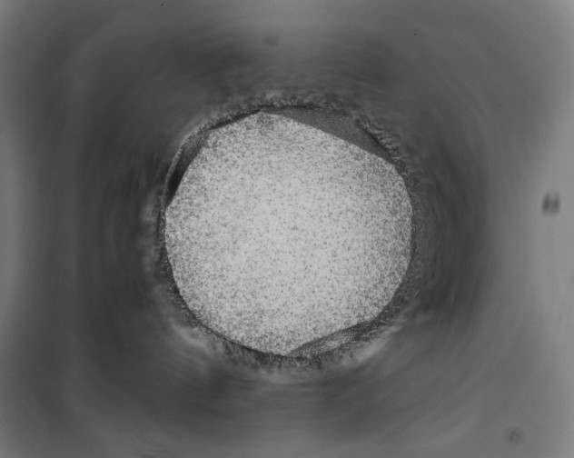 X0000099490144200806121401