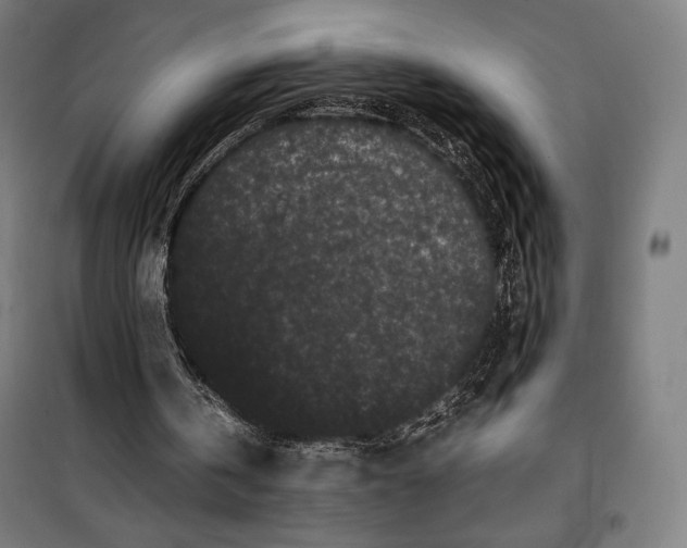 X0000099490146200806121400