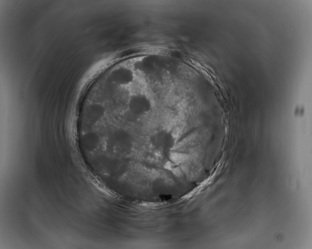 X0000099490149200806121400