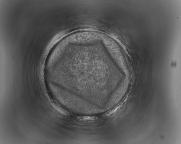 X0000099490151200806121400