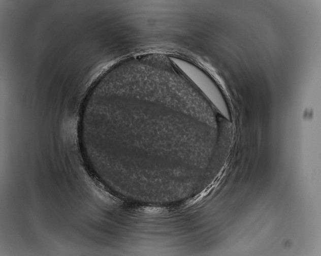 X0000099490154200806121400