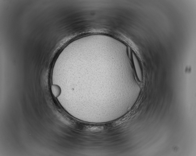 X0000099490155200806121400