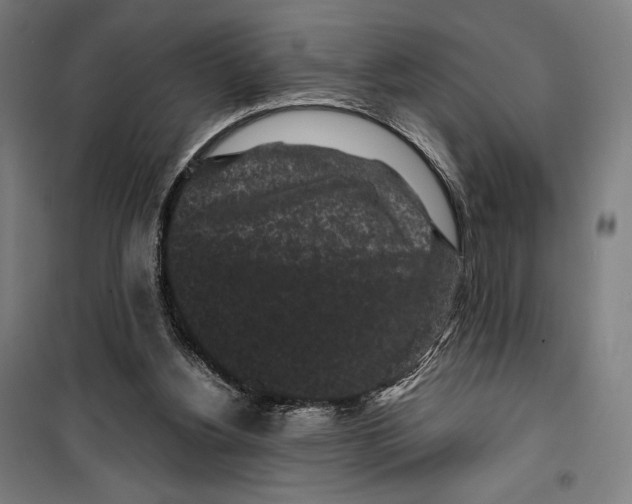 X0000099490156200806121400