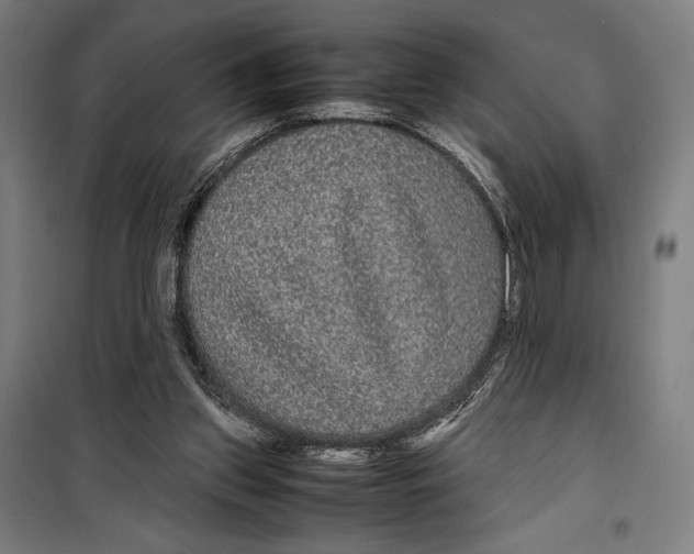 X0000099490157200806121400