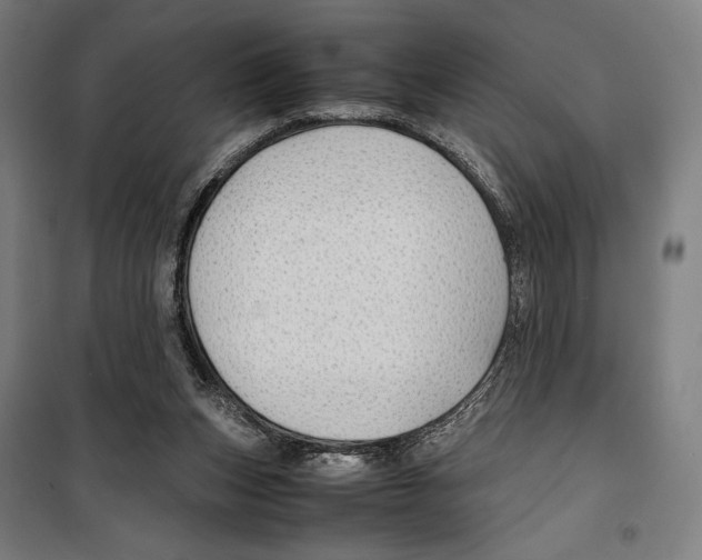 X0000099490159200806121400