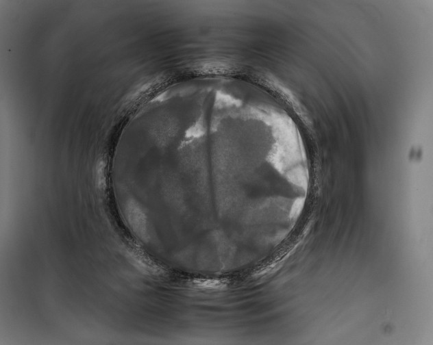 X0000099490161200806121400