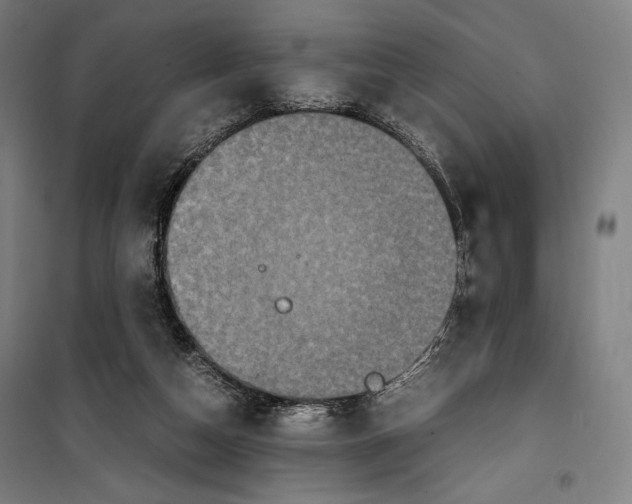 X0000099490162200806121400