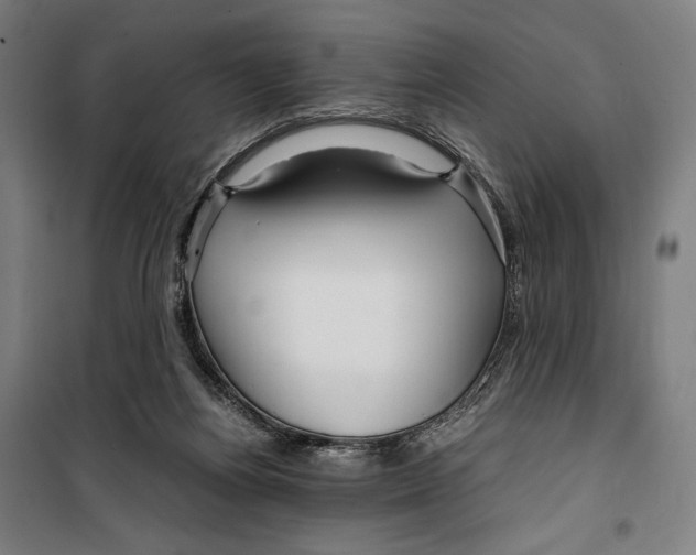 X0000099490164200806121400