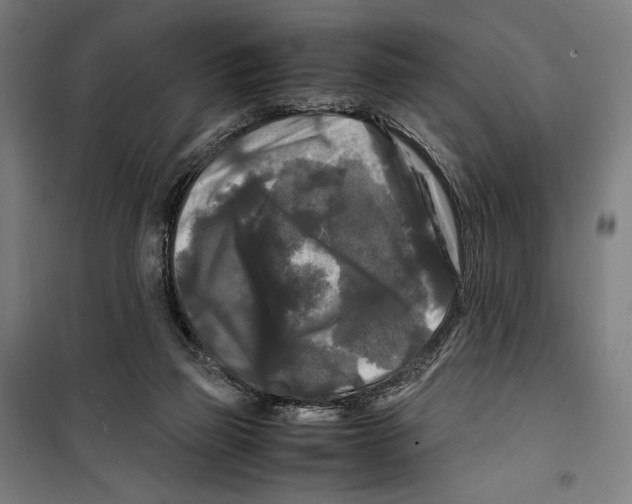 X0000099490165200806121400