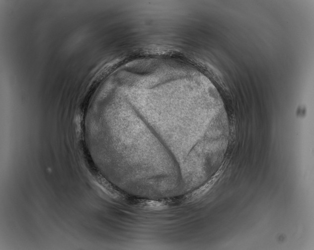 X0000099490166200806121400