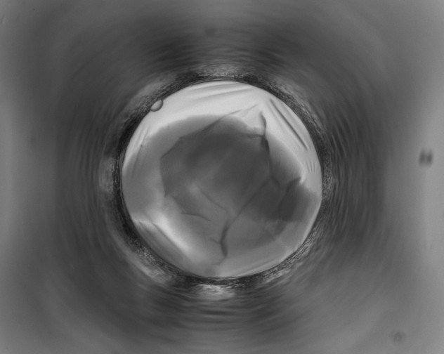 X0000099490167200806121400