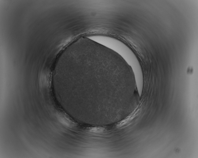 X0000099490168200806121400