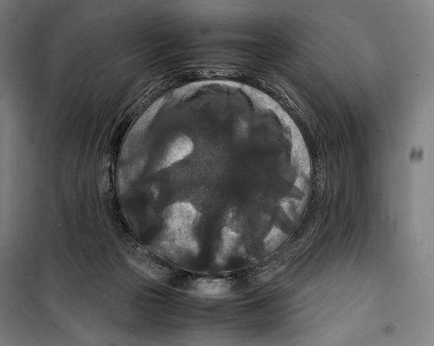 X0000099490169200806121400