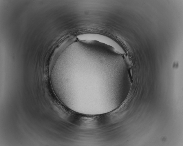 X0000099490170200806121400