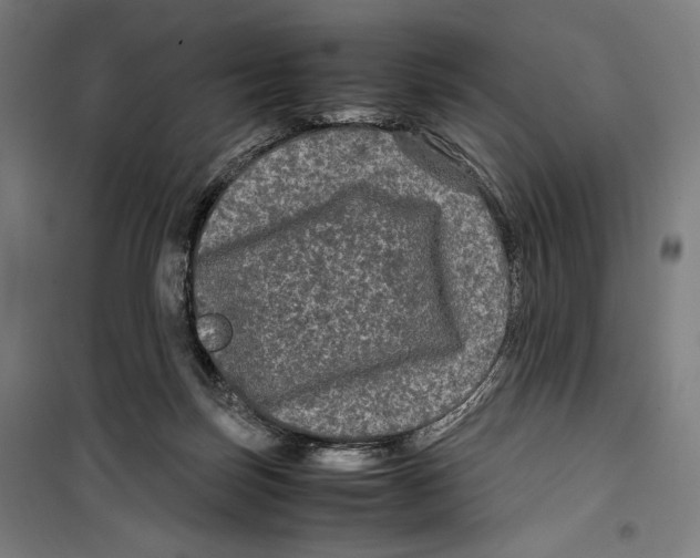 X0000099490171200806121400