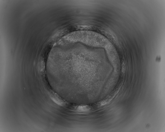 X0000099490173200806121400