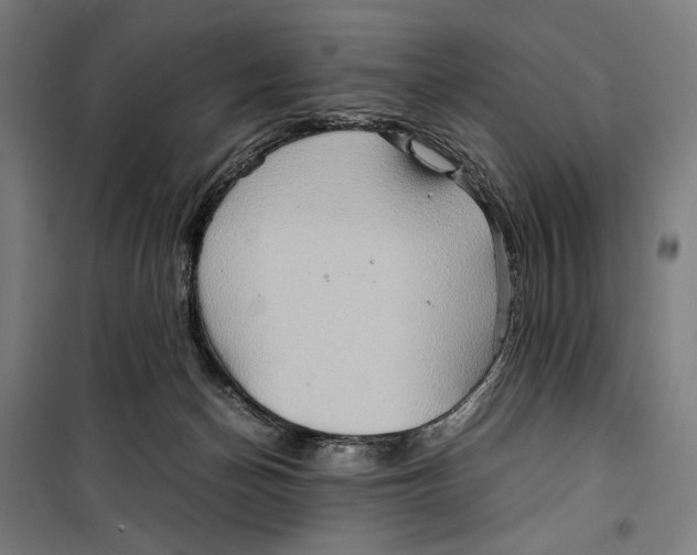 X0000099490174200806121400