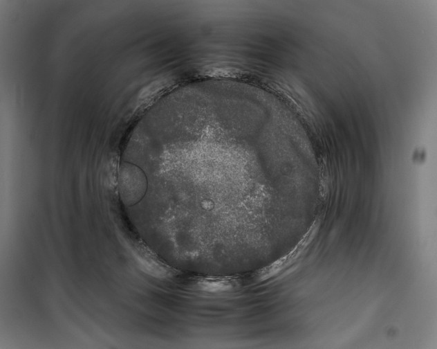 X0000099490175200806121400