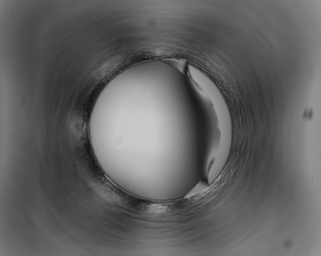 X0000099490176200806121400