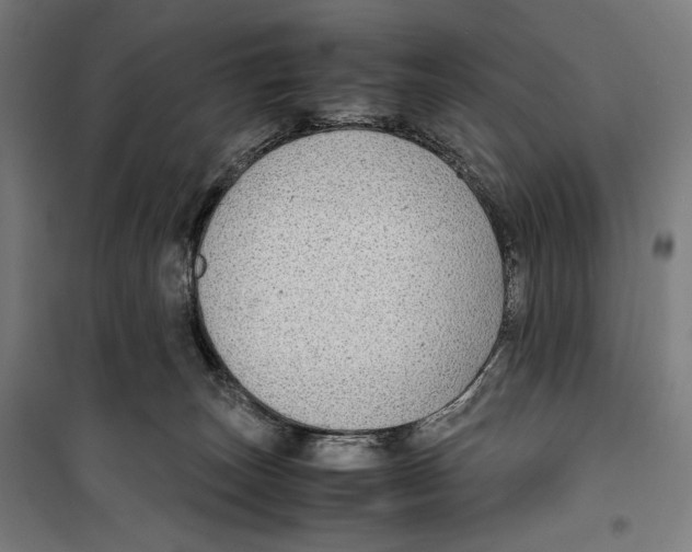 X0000099490179200806121400