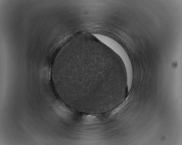 X0000099490180200806121400